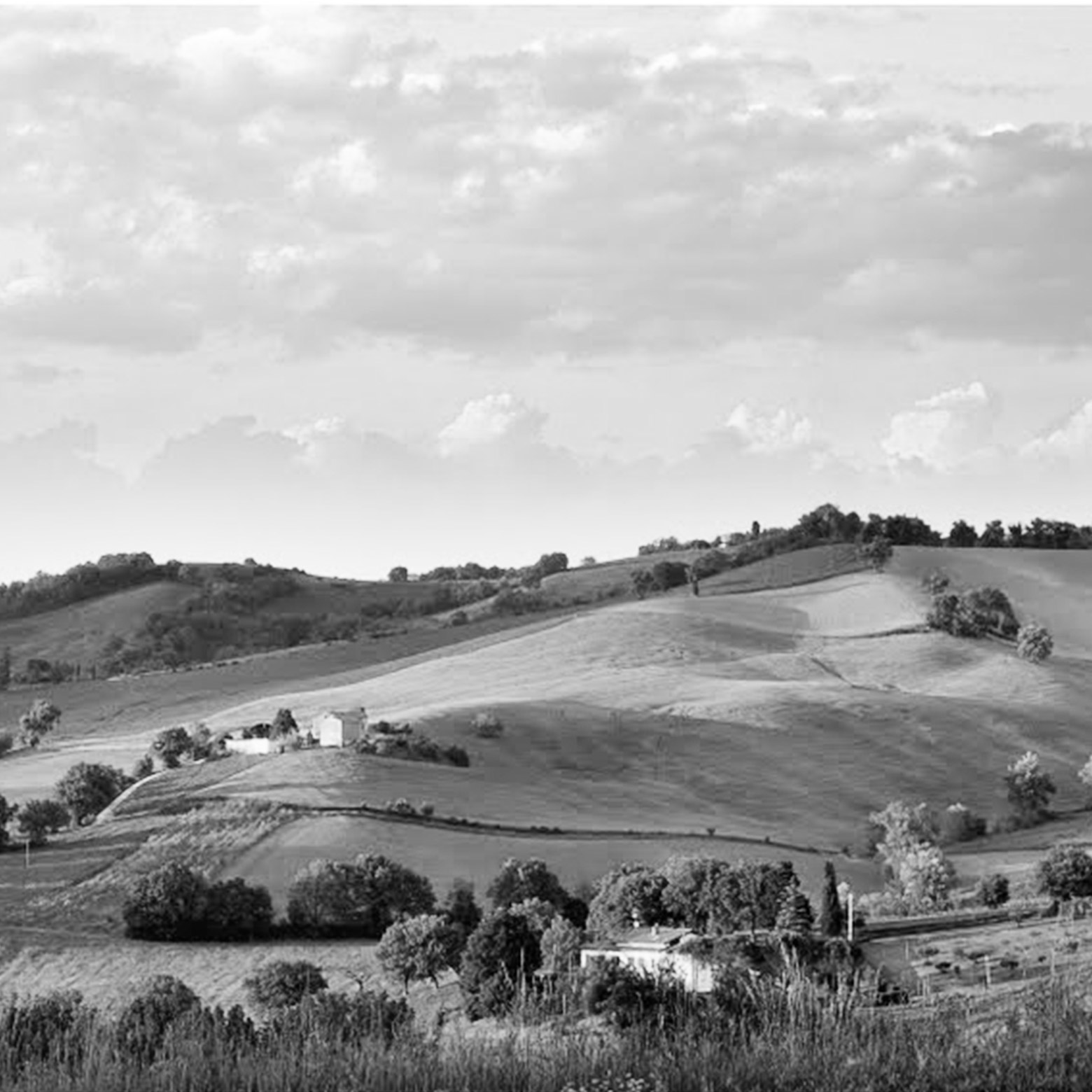 Regione Marche