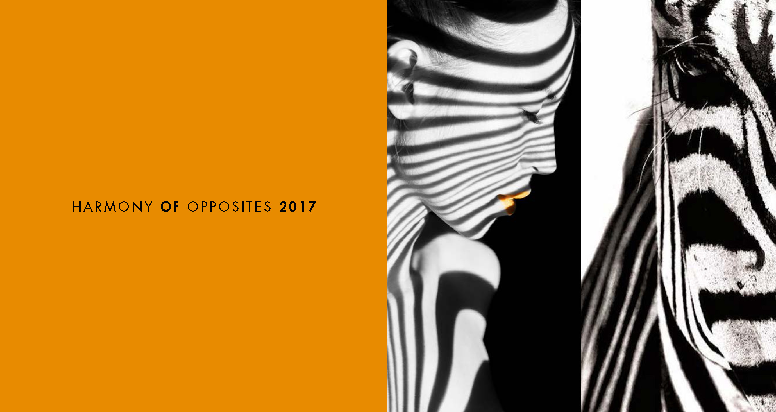 map communication_calendario2017_copertina